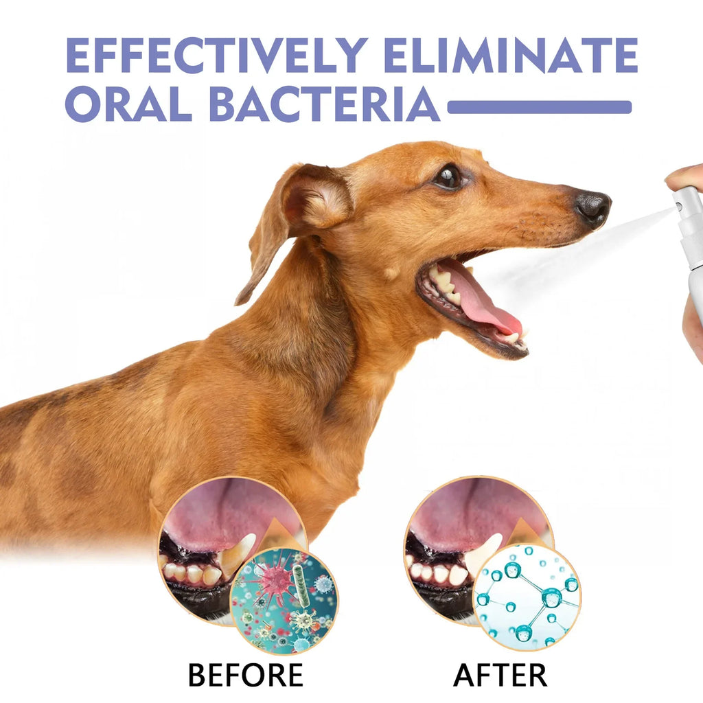 Pet Teeth Cleaning Spray for Dog Cats Tartar Remover Bad Breath Oral Care Freshener Dental Hygiene Water Additive Plaque Control
