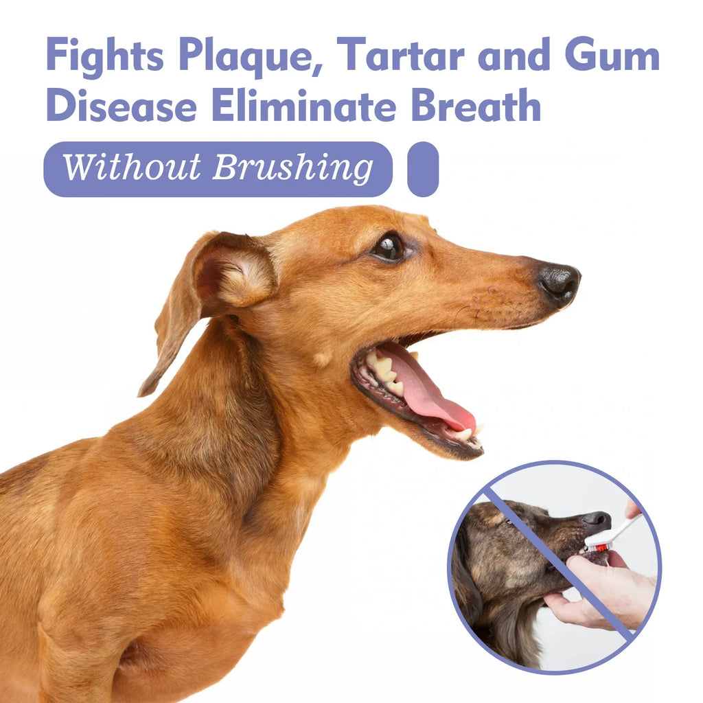 Pet Teeth Cleaning Spray for Dog Cats Tartar Remover Bad Breath Oral Care Freshener Dental Hygiene Water Additive Plaque Control