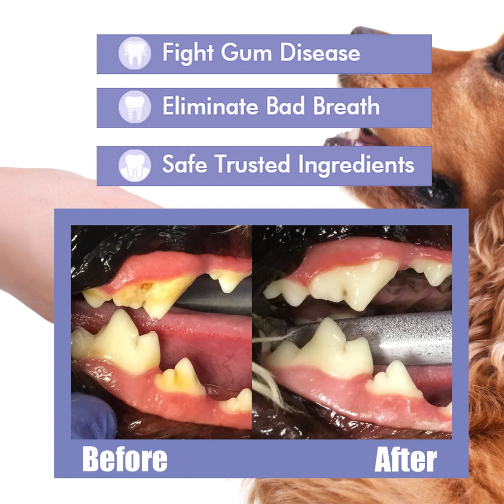 Pet Teeth Cleaning Spray for Dog Cats Tartar Remover Bad Breath Oral Care Freshener Dental Hygiene Water Additive Plaque Control