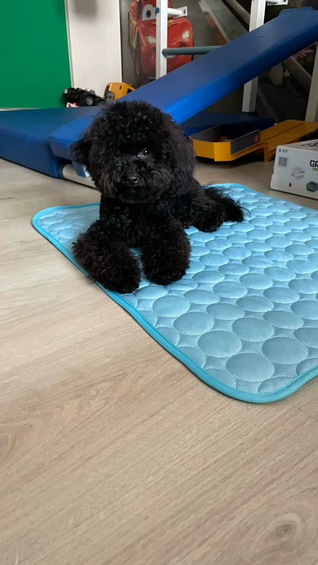 Thermal Pull Cooling Mat™