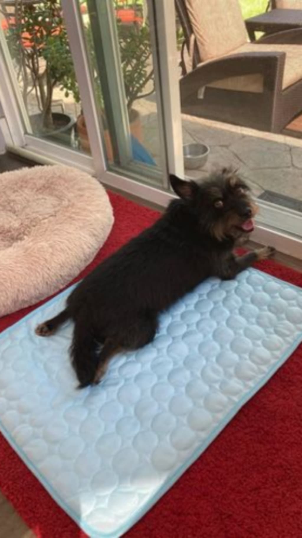 Thermal Pull Cooling Mat™