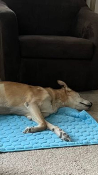 Thermal Pull Cooling Mat™